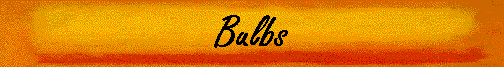 Bulbs