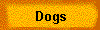 Dogs