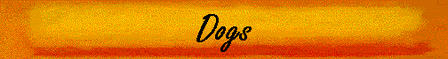 Dogs