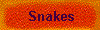 Snakes